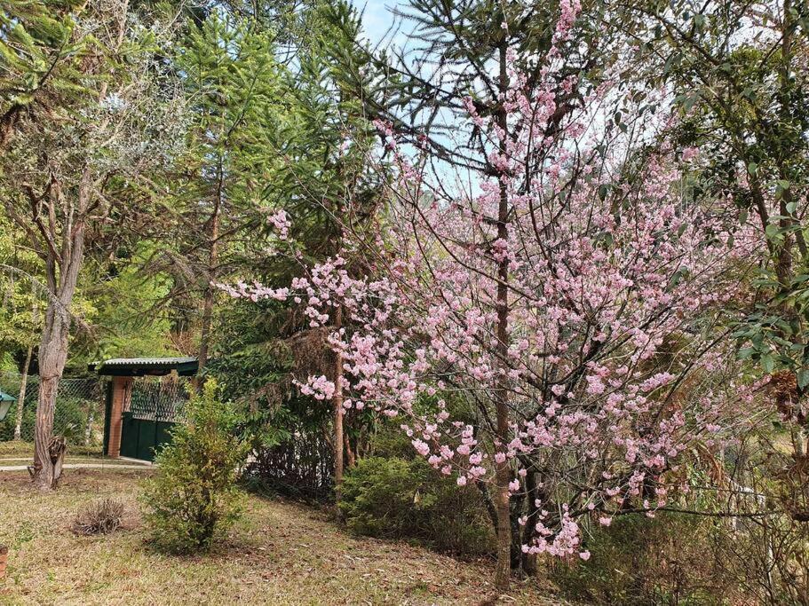 Casa Da Nanna Campos Villa Campos do Jordao Bagian luar foto